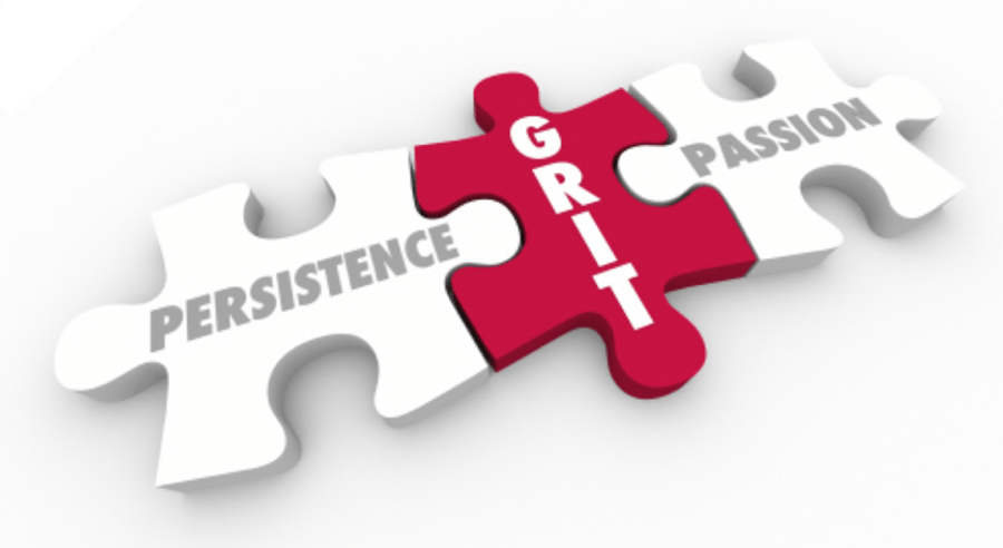 image showing puzzle pieces of persistence and passion fitting in with grit