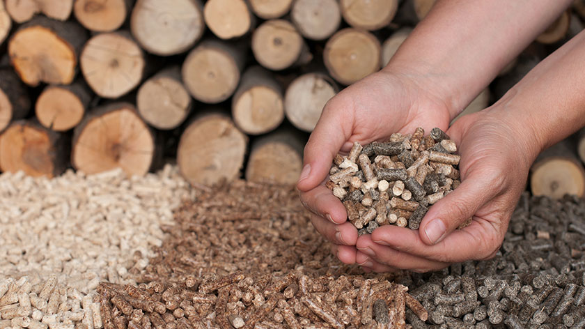 wood pellets used for bioenergy